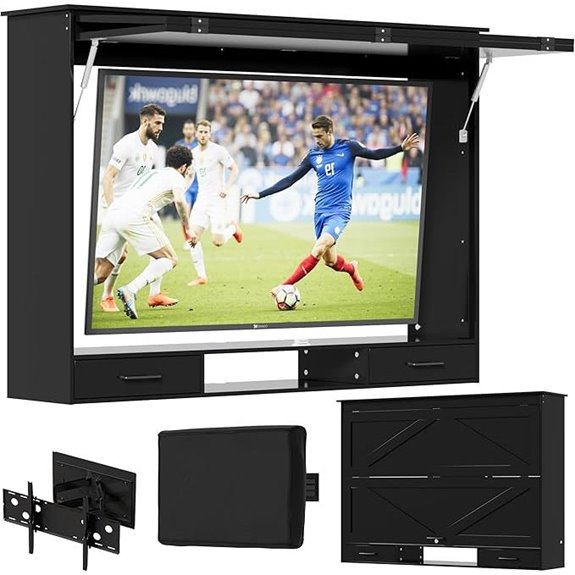 PAKASEPT 55” Outdoor TV Enclosure with Lock