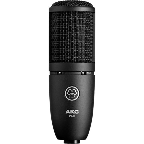 AKG P120 Condenser Microphone for Vocals & Instruments
