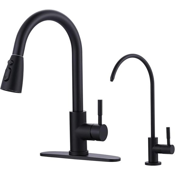 WOWOW Black Kitchen Faucet with Water Filter Combo