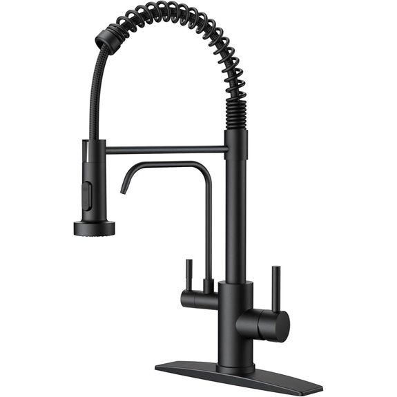 FORIOUS Black Kitchen Faucet with Water Filter