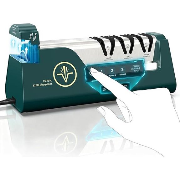 Professional Electric Knife Sharpener with Diamond Abrasives
