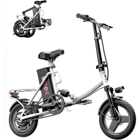 Windone S14/S16 Electric Bike with 750W Motor