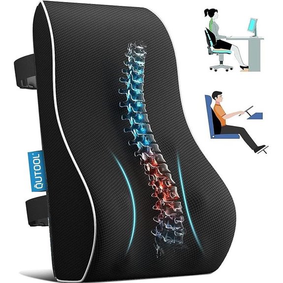 Lumbar Support Pillow for Office and Car