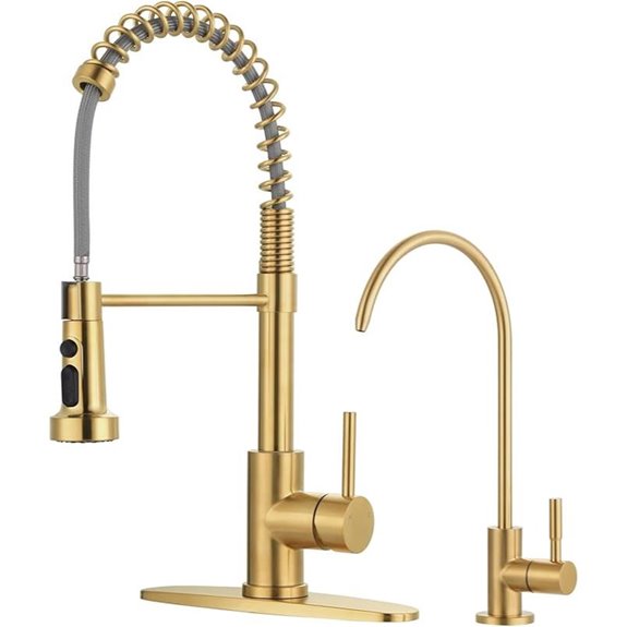 Brushed Gold Kitchen Faucet with Water Filter & Sprayer