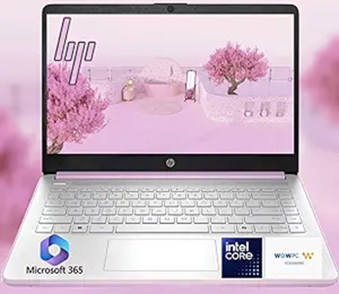 HP 14 Ultrabook Laptop with 16GB RAM and Storage