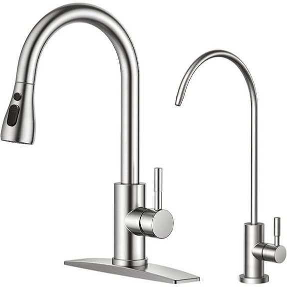 FORIOUS Kitchen Faucet with Water Filter Set