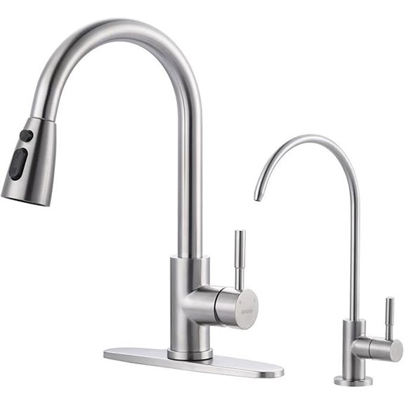 WOWOW Kitchen Faucet with Water Filter Combo