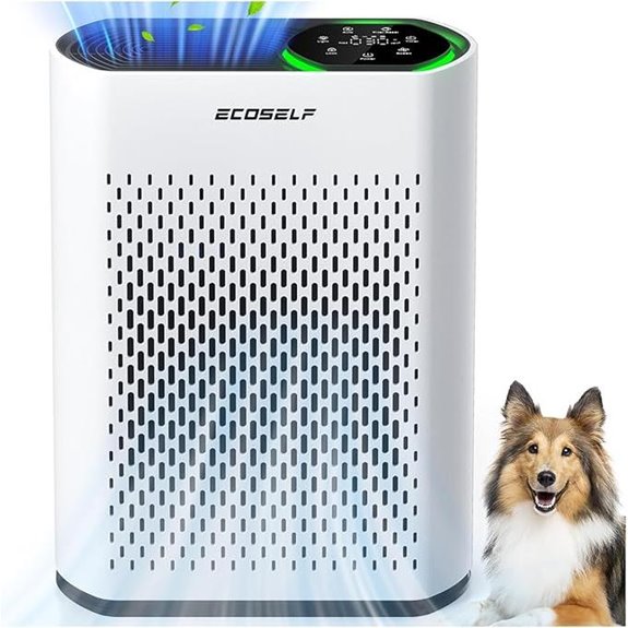 ECOSELF Large Room HEPA Air Purifier with Display