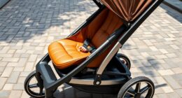 luxury stroller style comfort