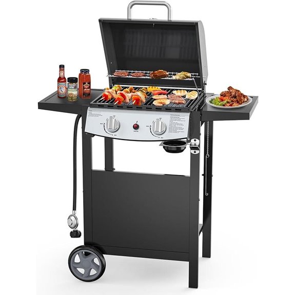 Portable 2-Burner Propane Gas BBQ Grill with Side Shelves