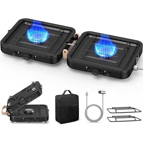 Portable 2-Burner Propane Camping Stove with Carrying Bag