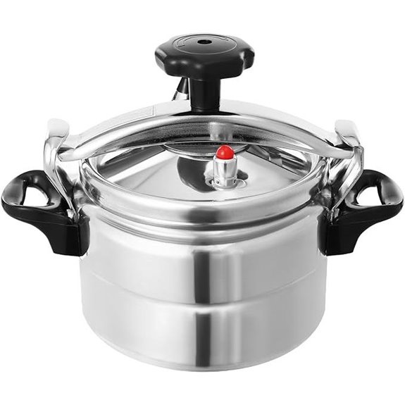 Portable 3L Aluminum Pressure Cooker with Handles