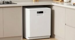 small space dishwasher options
