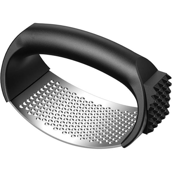Stainless Steel Garlic Press with Ergonomic Handle