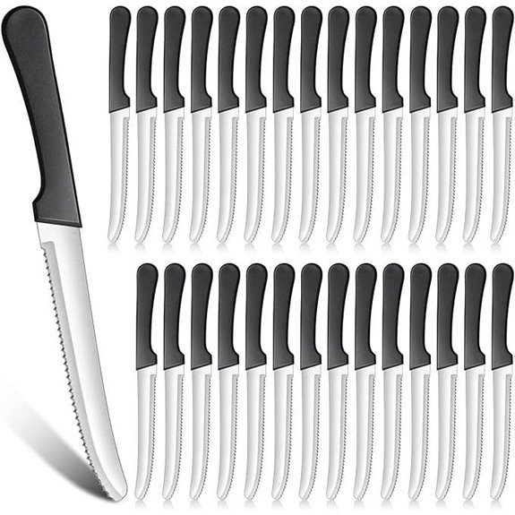 Zhehao 30-Pack Serrated Steak Knives with Plastic Handles