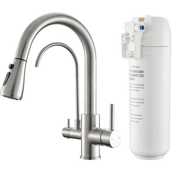 GIMILI 3-in-1 Kitchen Faucet with Water Filter