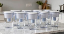 top alkaline water filter pitchers
