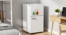 top dorm mini fridges
