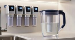top fluoride filter recommendations