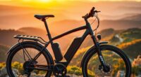 top long distance e bike picks
