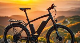 top long distance e bike picks