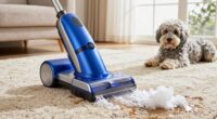 top pet carpet cleaning machines