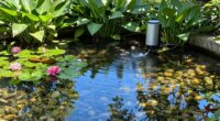 top pond pumps 2026