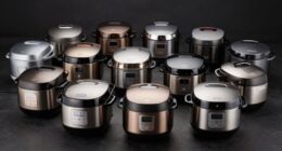 top stainless steel rice cookers