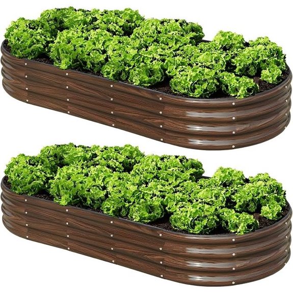 SnugNiture 2-Pack 6x3x1ft Raised Garden Beds