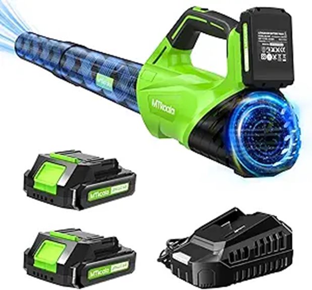 Cordless Leaf Blower with Batteries and Charger
