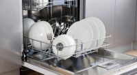 factors affecting dishwasher performance