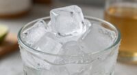 popular crunchy ice cubes