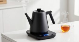 precise temperature control kettles