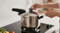 10 Best Best Pressure Cooker High End in 2026