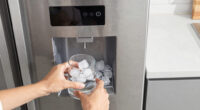 10 Best Fridge With Dual Ice Makers And Filtered Water In 2026