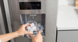 10 Best Fridge With Dual Ice Makers And Filtered Water In 2026