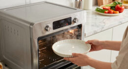 10 Best Wall Oven With Steam Cooking in 2026