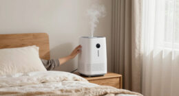 11 Best Large Bedroom Humidifier Quiet in 2026