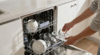 11 Best Panel Ready Dishwasher in 2026