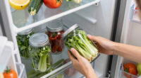 12 Best Large Capacity Refrigerator in 2026