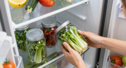 12 Best Large Capacity Refrigerator in 2026
