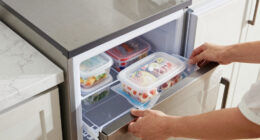 13 Best Premium Home Freezer Setup in 2026