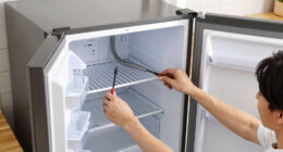 13 Best Refrigerator With Dual Evaporator System in 2026