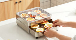 14 Best Premium Food Dehydrator in 2026 — The Ultimate Buying Guide