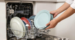 15 Best Quiet Dishwasher in 2026