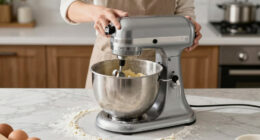 15 Best Stand Mixer for Pizza Dough in 2026