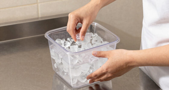 7 Best Clear Ice Maker Machines in 2026