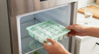 7 Best Refrigerator With Craft Ice in 2026