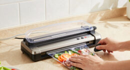 9 Best Heavy Duty Vacuum Sealer in 2026