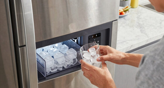 9 Best Refrigerator With Dual Ice Maker in 2026